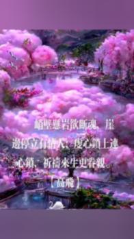 仓鼠学拼音